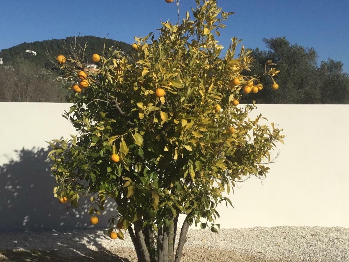 Casita In Javea With Garden And Pool - Dog Friendly! Exterior foto